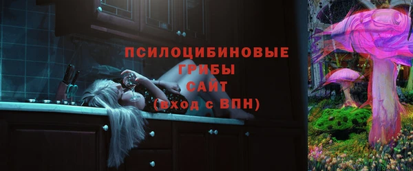ПСИЛОЦИБИНОВЫЕ ГРИБЫ Нея
