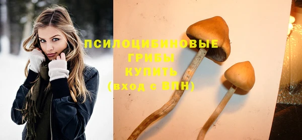 молекула духа Нефтекумск