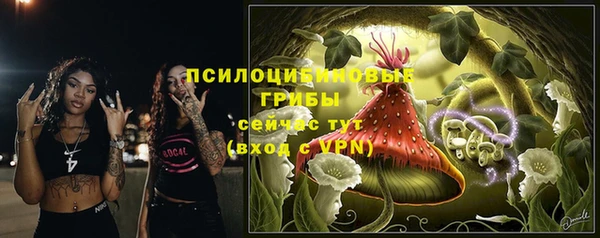 ПСИЛОЦИБИНОВЫЕ ГРИБЫ Нея