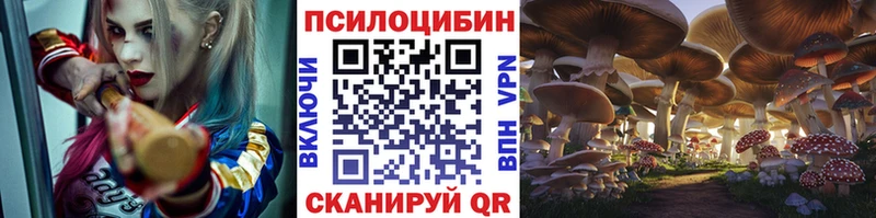 Псилоцибиновые грибы Cubensis  Истра 