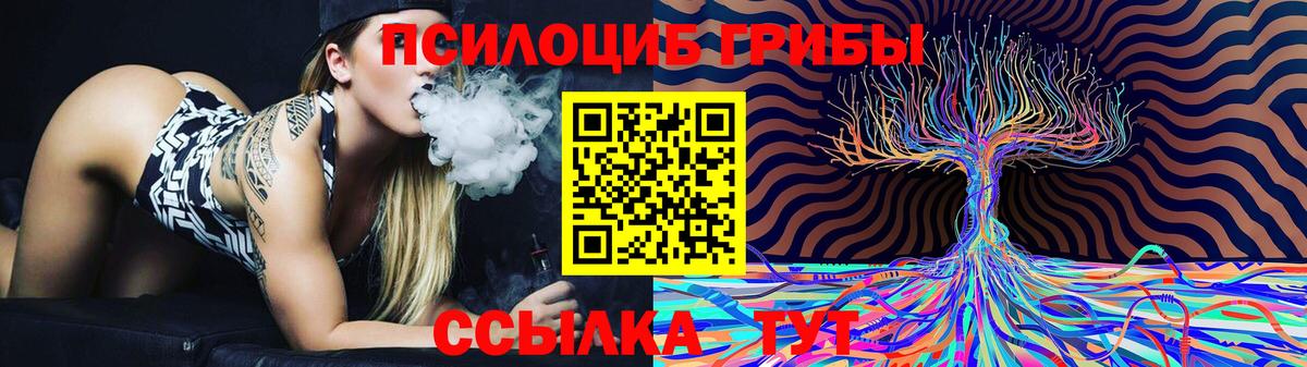 Галлюциногенные грибы GOLDEN TEACHER  Вход с VPN  Истра 